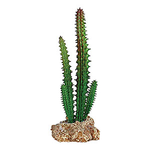 RepStyle Cactus with Rock Base, 5.5cm x 5cm x 14cm (Artificial)