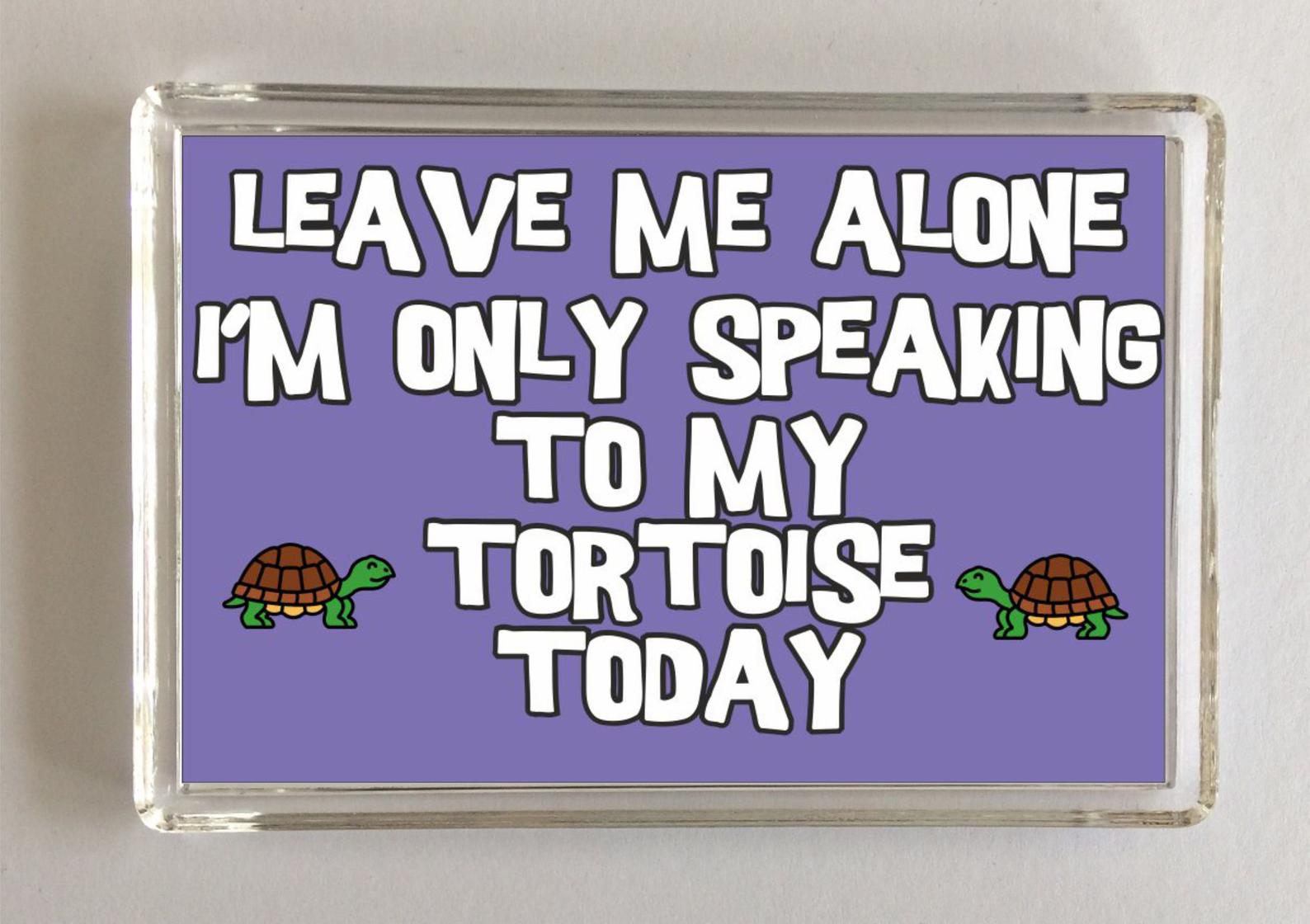 Tortoise slogan novelty magnet - 