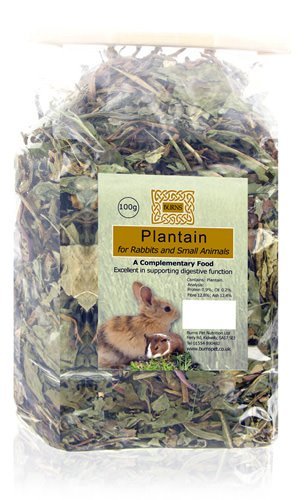 Burns Pet Nutrition Plantain, 100g ***** CURRENTLY OUT OF STOCK*****